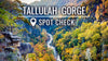 Spot Check: Tallulah Gorge